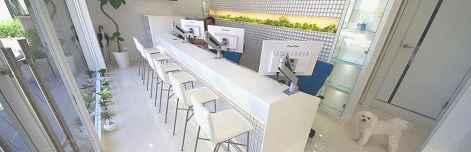 店舗情報